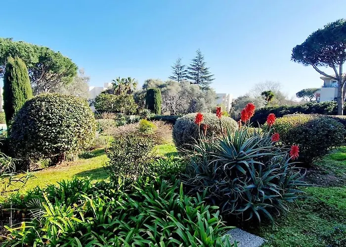 Studio Antibes Avec Piscine