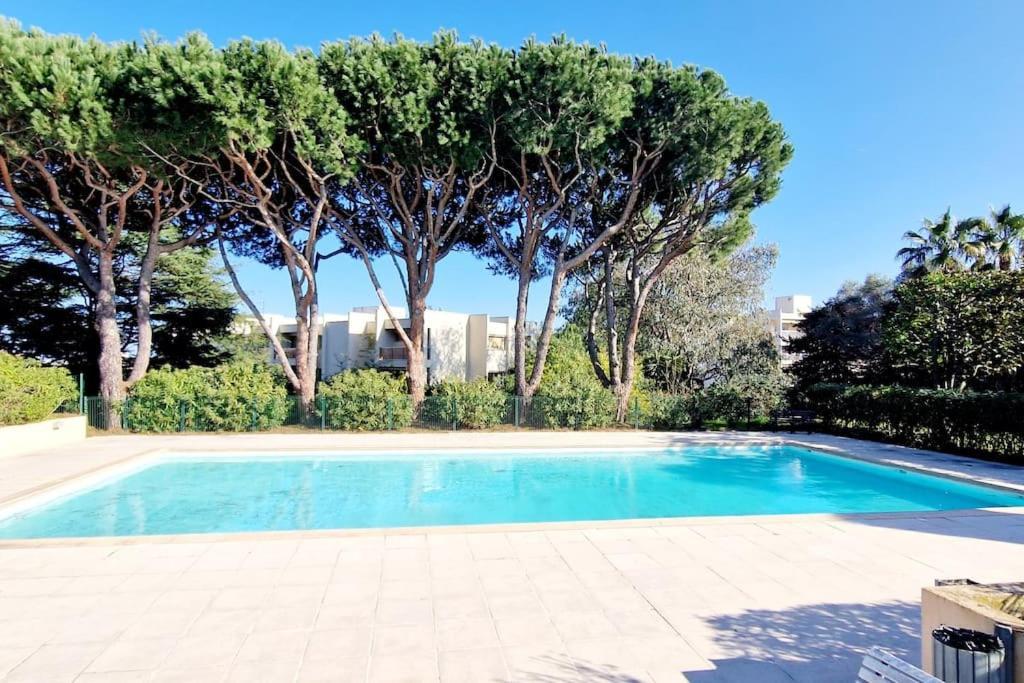 Avec Piscine