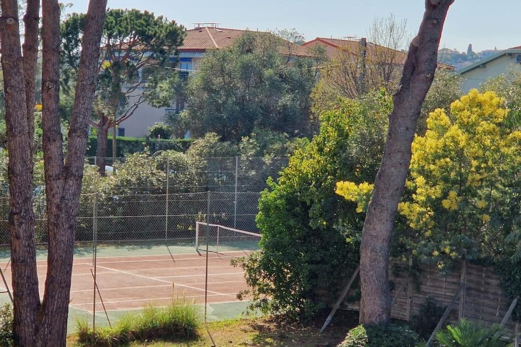 Apartment Avec Piscine Antibes